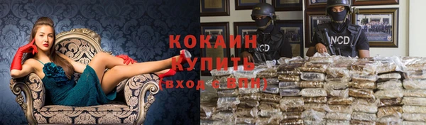 мяу мяу мука Беломорск