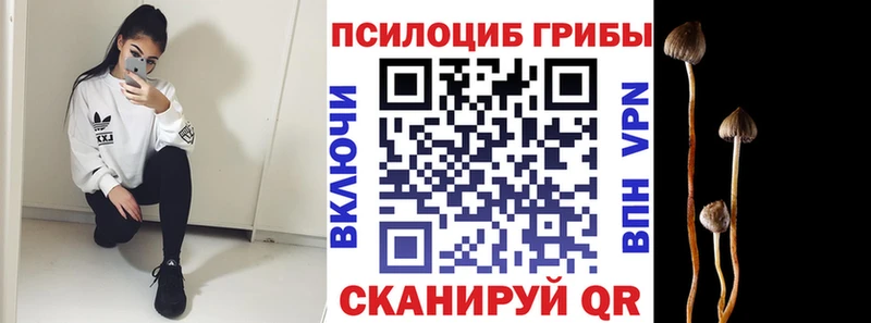Галлюциногенные грибы Magic Shrooms  даркнет сайт  Челябинск 